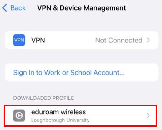 iOS VPN/Device option setting